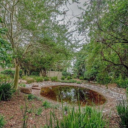 Wild Olive Executive Suite Johannesburg Zewnętrze zdjęcie
