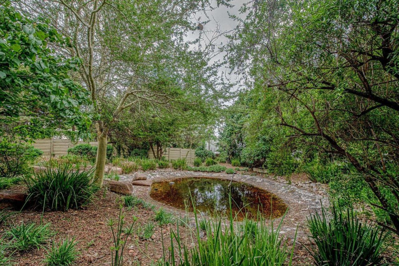 Wild Olive Executive Suite Johannesburg Zewnętrze zdjęcie