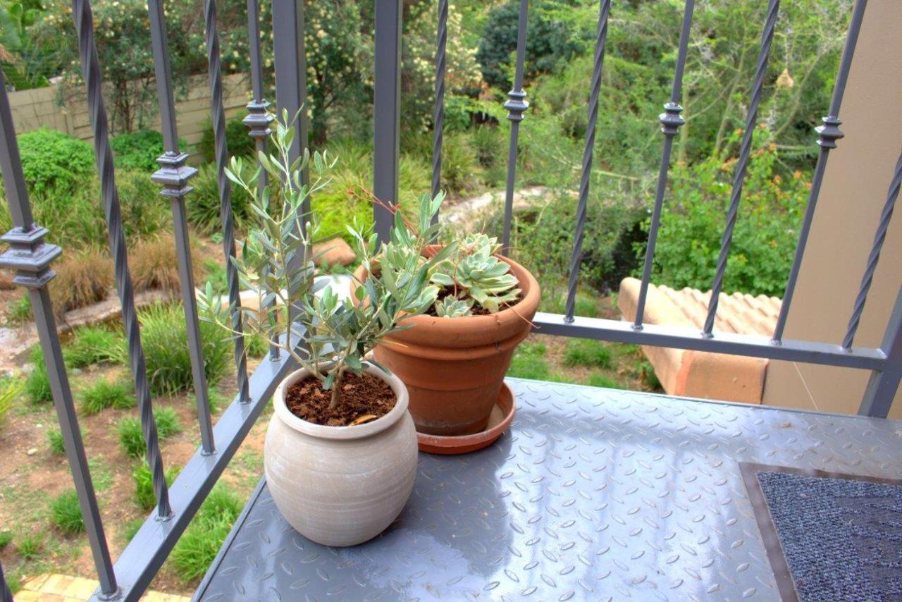 Wild Olive Executive Suite Johannesburg Zewnętrze zdjęcie