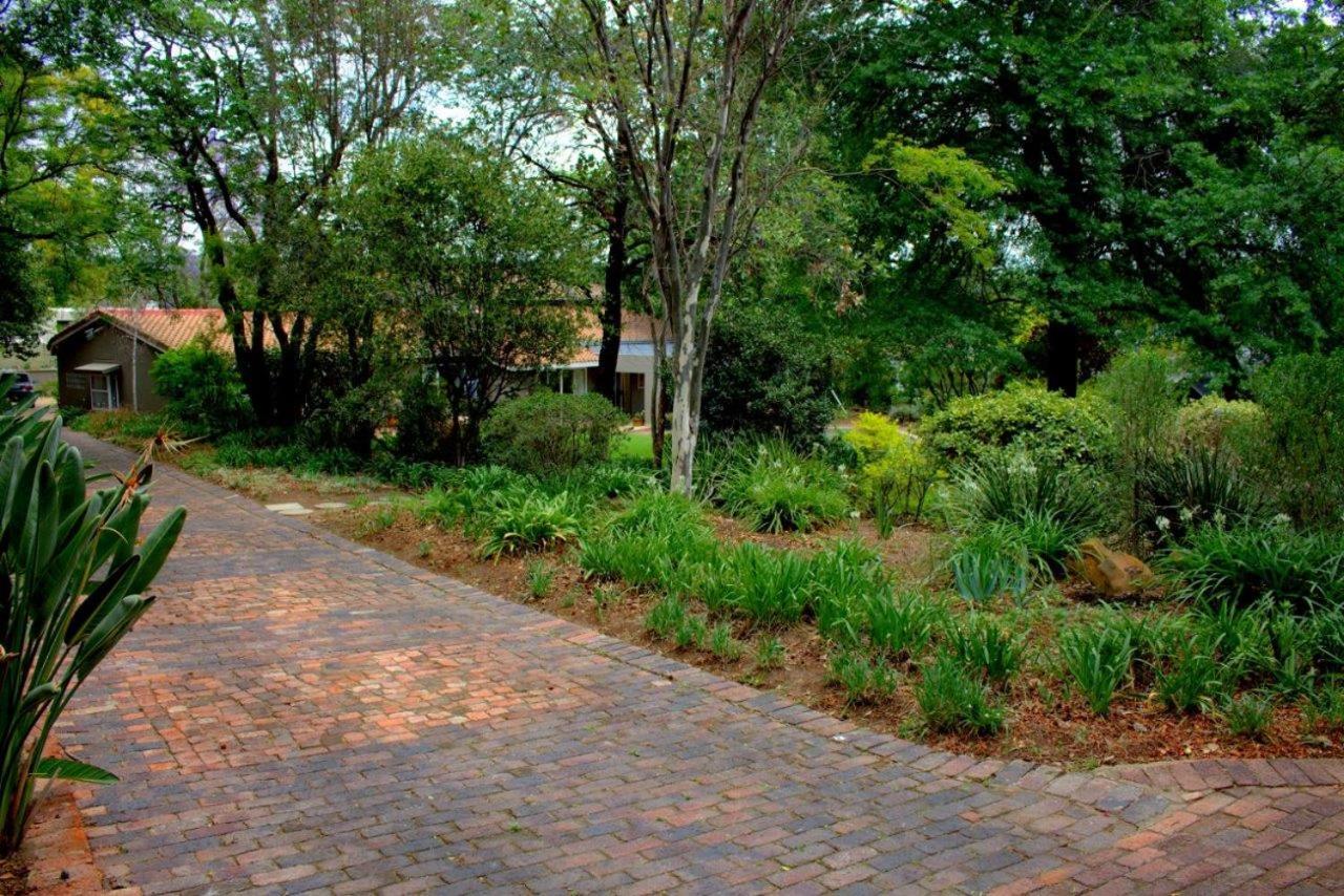 Wild Olive Executive Suite Johannesburg Zewnętrze zdjęcie