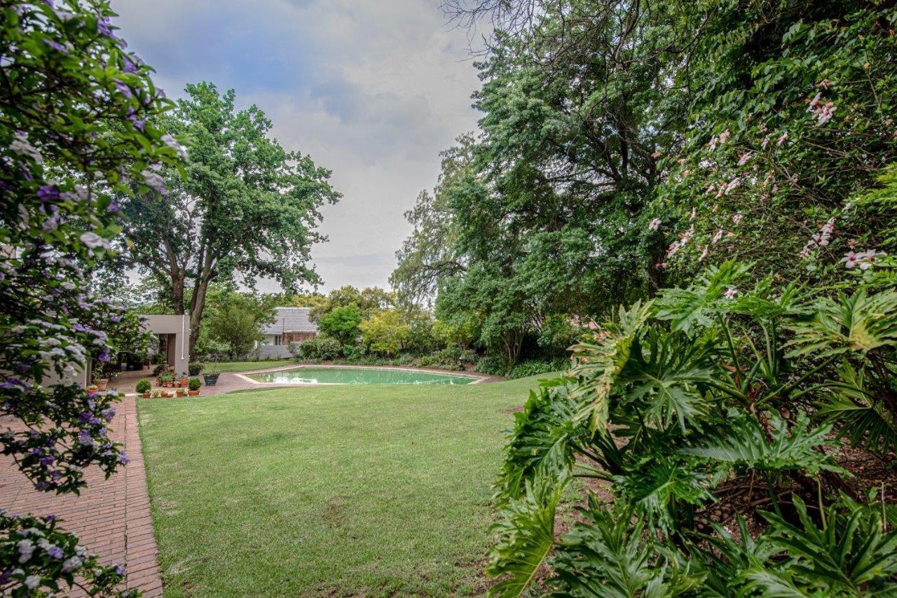 Wild Olive Executive Suite Johannesburg Zewnętrze zdjęcie
