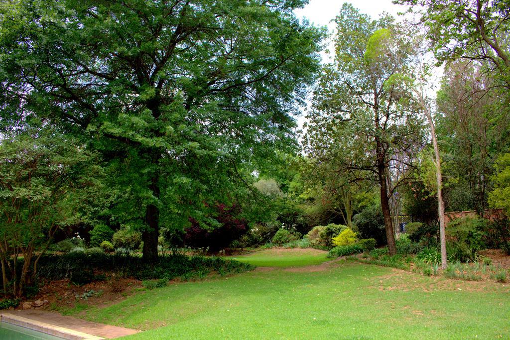 Wild Olive Executive Suite Johannesburg Zewnętrze zdjęcie